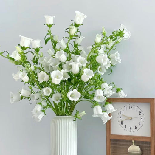 【俊发社区物业中心自提商品】【风铃花·白 草花】鲜花400-800g 「灵动小白花·清新田园风」 商品图0