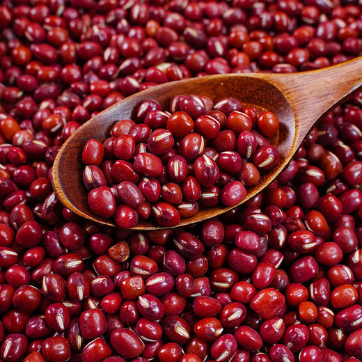 【严选】【黑龙江直发 东北黑土 有机】和粮益田有机红豆 无化肥农药  颗粒饱满 红润光泽 煮粥煮饭有机红豆970g溢田（YITASTE）溢小妹系列（厂家直发） 商品图1