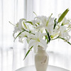 【俊发社区物业中心自提商品】【西伯利亚百合单头 草花】鲜花10枝 「冰雪洁白·清雅幽香」 商品缩略图0