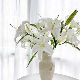 【俊发社区物业中心自提商品】【西伯利亚百合单头 草花】鲜花10枝 「冰雪洁白·清雅幽香」