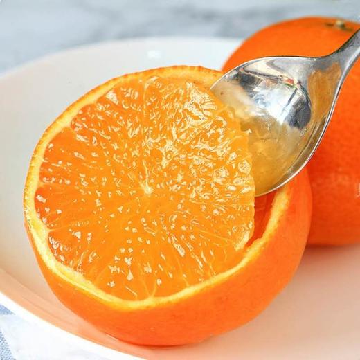 甜果源源 爱媛果冻橙【38号】 商品图4