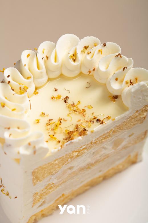 【许我耀眼】许妍同款桂花蛋糕 商品图2