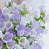 【俊发社区物业中心自提商品】【风铃花·浅紫色 草花】鲜花400-800g「浅紫铃铛花·灵动清新系」 商品缩略图0