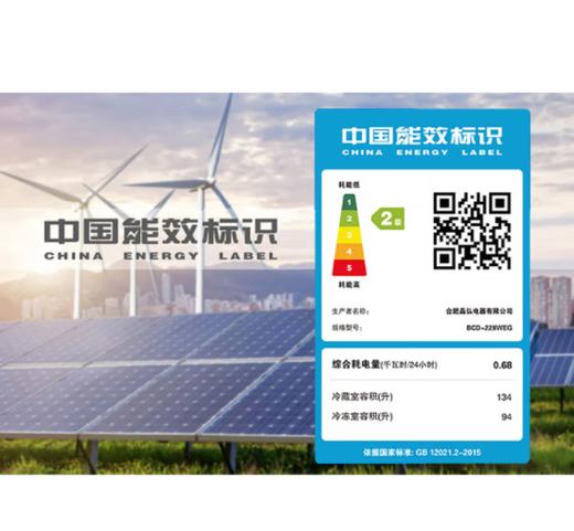 格力（202912）晶弘冰箱228升风冷无霜电脑控温低噪音离子净味家用中小型节能保鲜双门开电冰箱 时代金BCD-228WEC（浮光金） 商品图3