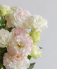 【俊发社区物业中心自提商品】【冰淇淋洋桔梗 草花】鲜花600-800g「奶油甜香·治愈系花材」 商品缩略图2