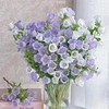 【俊发社区物业中心自提商品】【风铃花·浅紫色 草花】鲜花400-800g「浅紫铃铛花·灵动清新系」 商品缩略图4