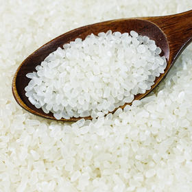 【严选】【黑龙江直发 东北黑土 有机】和粮益田有机粥米 无化肥农药 均匀小颗粒 小粒易煮有机粥米1kg溢田（YITASTE）溢小妹系列（厂家直发）