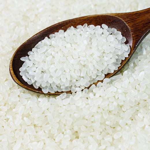 【严选】【黑龙江直发 东北黑土 有机】和粮益田有机粥米 无化肥农药 均匀小颗粒 小粒易煮有机粥米1kg溢田（YITASTE）溢小妹系列（厂家直发） 商品图0