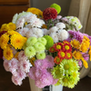 【俊发社区物业中心自提商品】【元气爆炸混色小菊 草花】鲜花10枝 「混色一扎·超长待机」 商品缩略图3