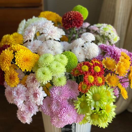 【俊发社区物业中心自提商品】【元气爆炸混色小菊 草花】鲜花10枝 「混色一扎·超长待机」 商品图3