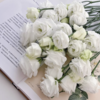【俊发社区物业中心自提商品】【月光白洋桔梗 草花】鲜花600-800g 「云朵白·柔软层叠」 商品缩略图2