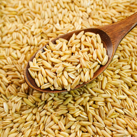 【严选】【黑龙江直发 东北黑土 有机】和粮益田有机燕麦米 无化肥农药 全谷物 麦香浓郁 弹糯柔滑有机燕麦米900g 溢田（YITASTE）溢小妹系列（厂家直发） 商品图1