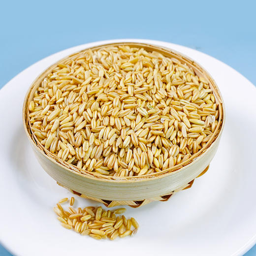 【严选】【黑龙江直发 东北黑土 有机】和粮益田有机燕麦米 无化肥农药 全谷物 麦香浓郁 弹糯柔滑有机燕麦米900g 溢田（YITASTE）溢小妹系列（厂家直发） 商品图0