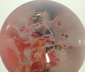 奇妙三分间丨盘子