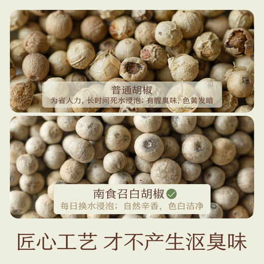 南食召 本香白胡椒 商品图2