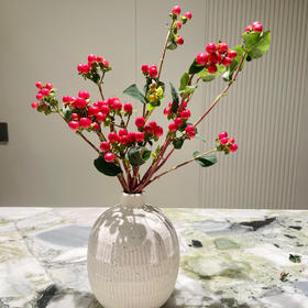 【俊发社区物业中心自提商品】【红豆·龙珠果 草花】鲜花800-1000g 「中式意境红·福气满满」