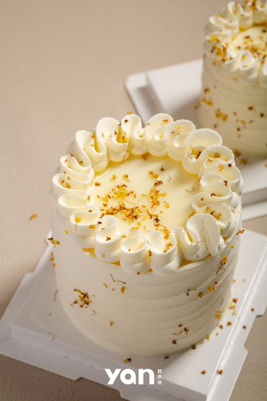 【许我耀眼】许妍同款桂花蛋糕 商品图1