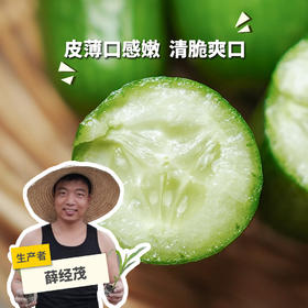 生态水果青瓜（福建） | 合作生产*  Eco-fruit cucumber| Partner Production