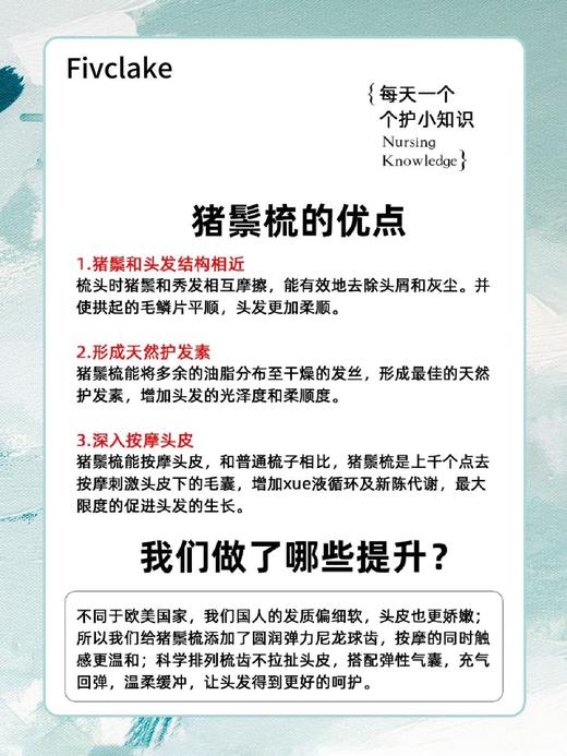 捡漏儿啦，当自己用还有当个随手礼非常棒.. Fivclake高端松塔100%野猪鬃毛梳子... 商品图5
