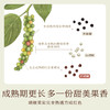 南食召 本香红胡椒 商品缩略图2