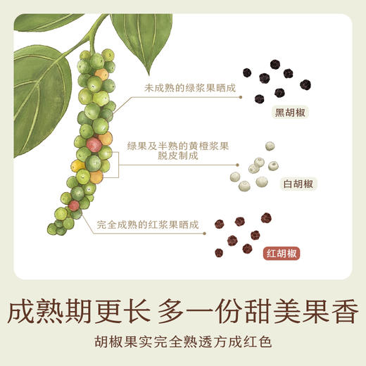 南食召 本香红胡椒 商品图2