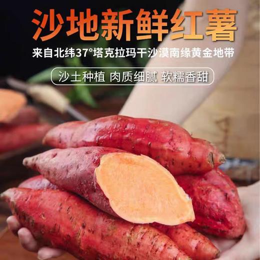 明珠木棉 昆仑蜜薯 5KG/箱 商品图0