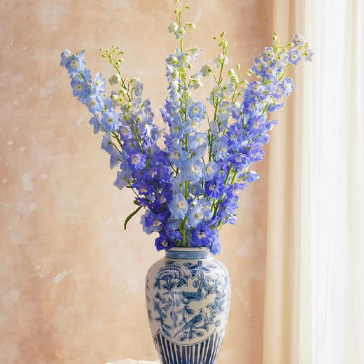 【俊发社区物业中心自提商品】【大飞燕随机色 草花】鲜花5枝「仙气缭绕·梦幻渐变」 商品图0