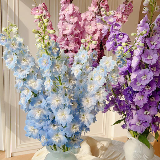 【俊发社区物业中心自提商品】【大飞燕随机色 草花】鲜花5枝「仙气缭绕·梦幻渐变」 商品图2