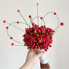 【俊发社区物业中心自提商品】【红豆·龙珠果 草花】鲜花800-1000g 「中式意境红·福气满满」 商品缩略图5