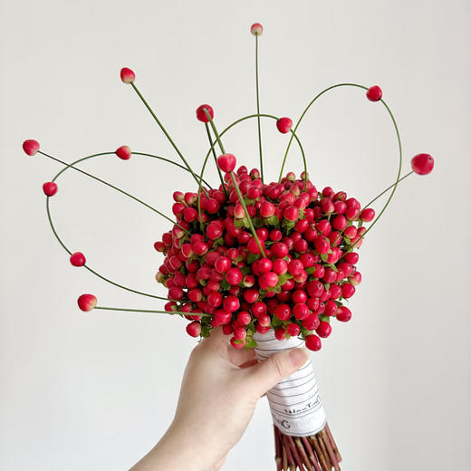 【俊发社区物业中心自提商品】【红豆·龙珠果 草花】鲜花800-1000g 「中式意境红·福气满满」 商品图5