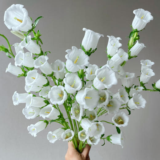 【俊发社区物业中心自提商品】【风铃花·白 草花】鲜花400-800g 「灵动小白花·清新田园风」 商品图3