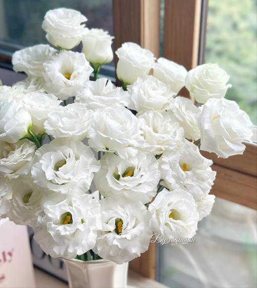 【俊发社区物业中心自提商品】【月光白洋桔梗 草花】鲜花600-800g 「云朵白·柔软层叠」 商品图3