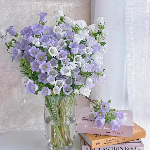 【俊发社区物业中心自提商品】【风铃花·浅紫色 草花】鲜花400-800g「浅紫铃铛花·灵动清新系」 商品图3