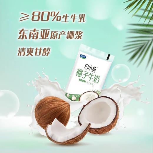 DH 君乐宝白小纯椰子牛奶180ml 商品图1
