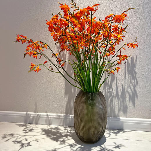 【俊发社区物业中心自提商品】【火焰兰 草花】鲜花20枝 「橙红跃动·野性张力」 商品图1