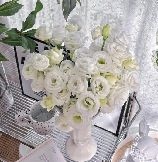 【俊发社区物业中心自提商品】【月光白洋桔梗 草花】鲜花600-800g 「云朵白·柔软层叠」 商品图4