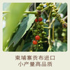 南食召 本香红胡椒 商品缩略图3