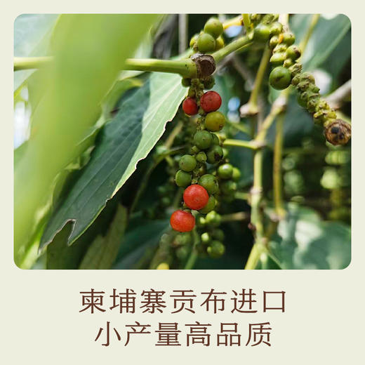 南食召 本香红胡椒 商品图3