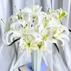 【俊发社区物业中心自提商品】【西伯利亚百合单头 草花】鲜花10枝 「冰雪洁白·清雅幽香」 商品缩略图2