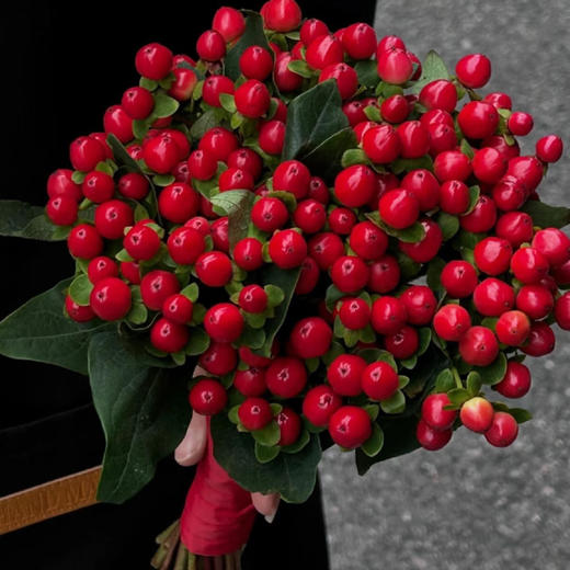 【俊发社区物业中心自提商品】【红豆·龙珠果 草花】鲜花800-1000g 「中式意境红·福气满满」 商品图2