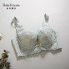 皇家丽美蕾丝文胸 精致性感聚拢舒适女士内衣WJ2516-1 商品缩略图4