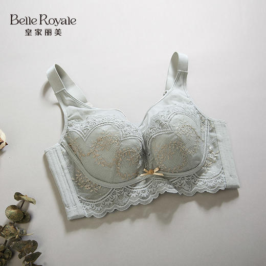 皇家丽美蕾丝文胸 精致性感聚拢舒适女士内衣WJ2516-1 商品图4
