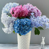 【俊发社区物业中心自提商品】【重磅绣球 草花】鲜花3枝 「花色随机·单枝即是一束花」 商品缩略图3