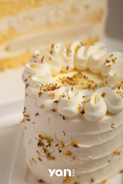 【许我耀眼】许妍同款桂花蛋糕 商品图3