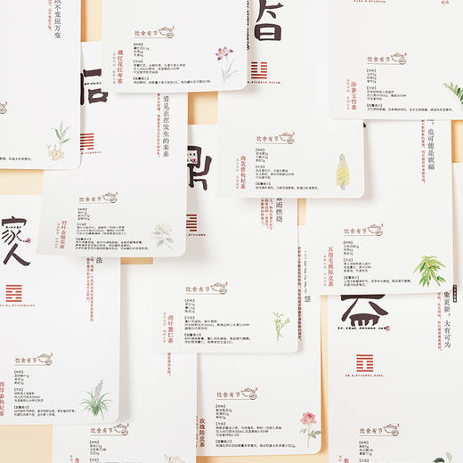 正安 2026养生日记本 十年纪念版 一册双玩法月月换心境 跟着节气养身心 感知生活动律 商品图7