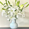 【俊发社区物业中心自提商品】【西伯利亚百合单头 草花】鲜花10枝 「冰雪洁白·清雅幽香」 商品缩略图5