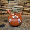 日本进口常滑烧纯手工壶玉光朱泥柏阳红泥吐丝小茶壶泡茶壶侧把壶 商品缩略图0