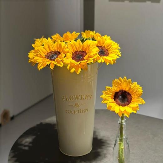 【俊发社区物业中心自提商品】【向日葵大花 草花】鲜花5枝「明亮金黄色·阳光活力款」 商品图5