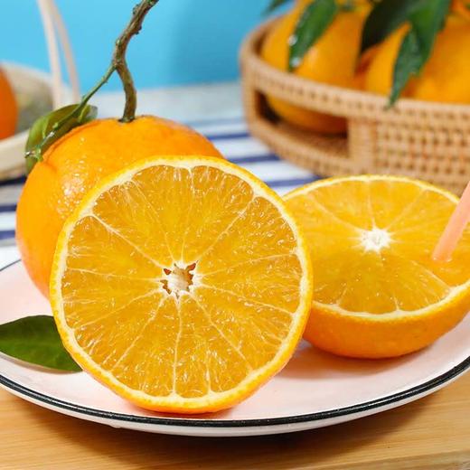 甜果源源 爱媛果冻橙【38号】 商品图3