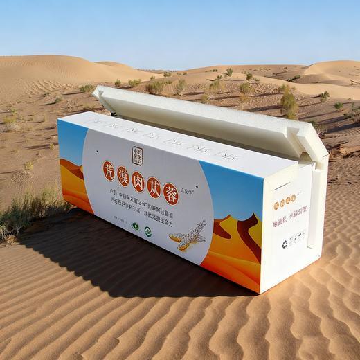 正安荒漠肉苁蓉 甄选阿拉善鲜品肉苁蓉 冬补养身，润补之选  冷链运输 保鲜送达1500g/箱 商品图5